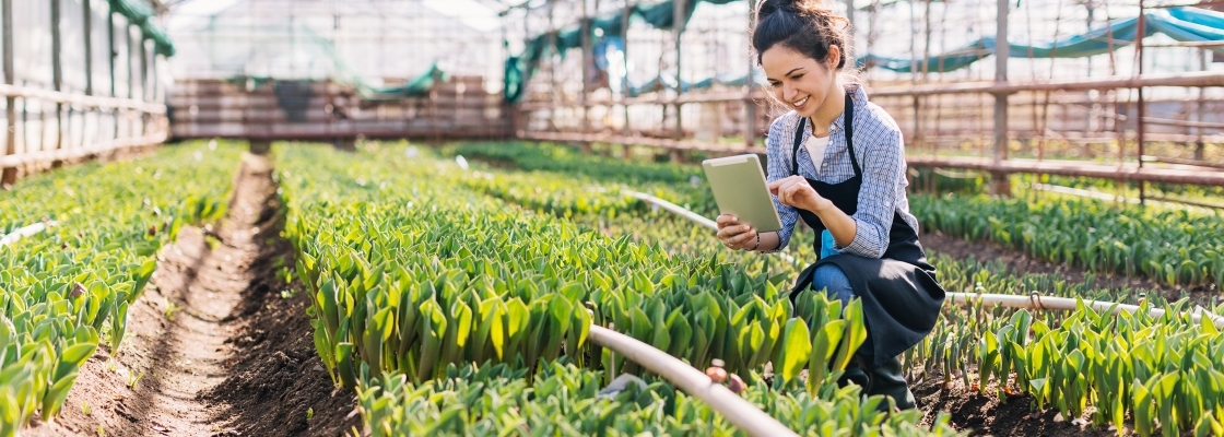 woman working in green house to inspect plants